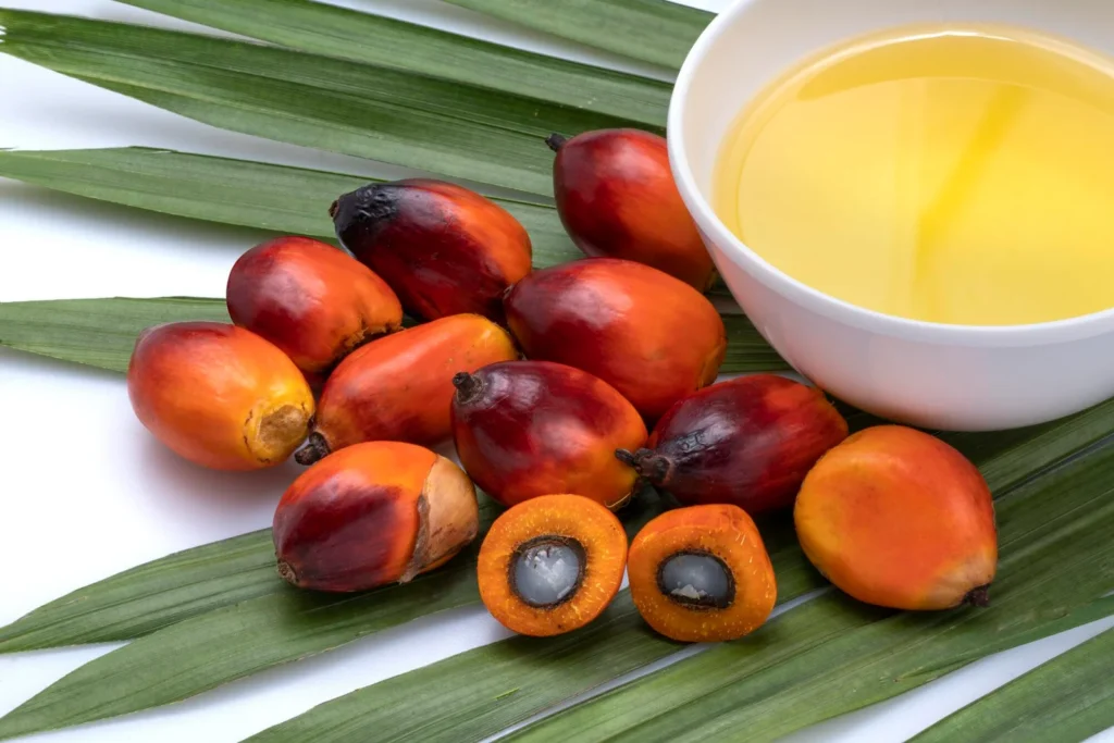 oil-palm-fruits-and-cooking-palm-oil